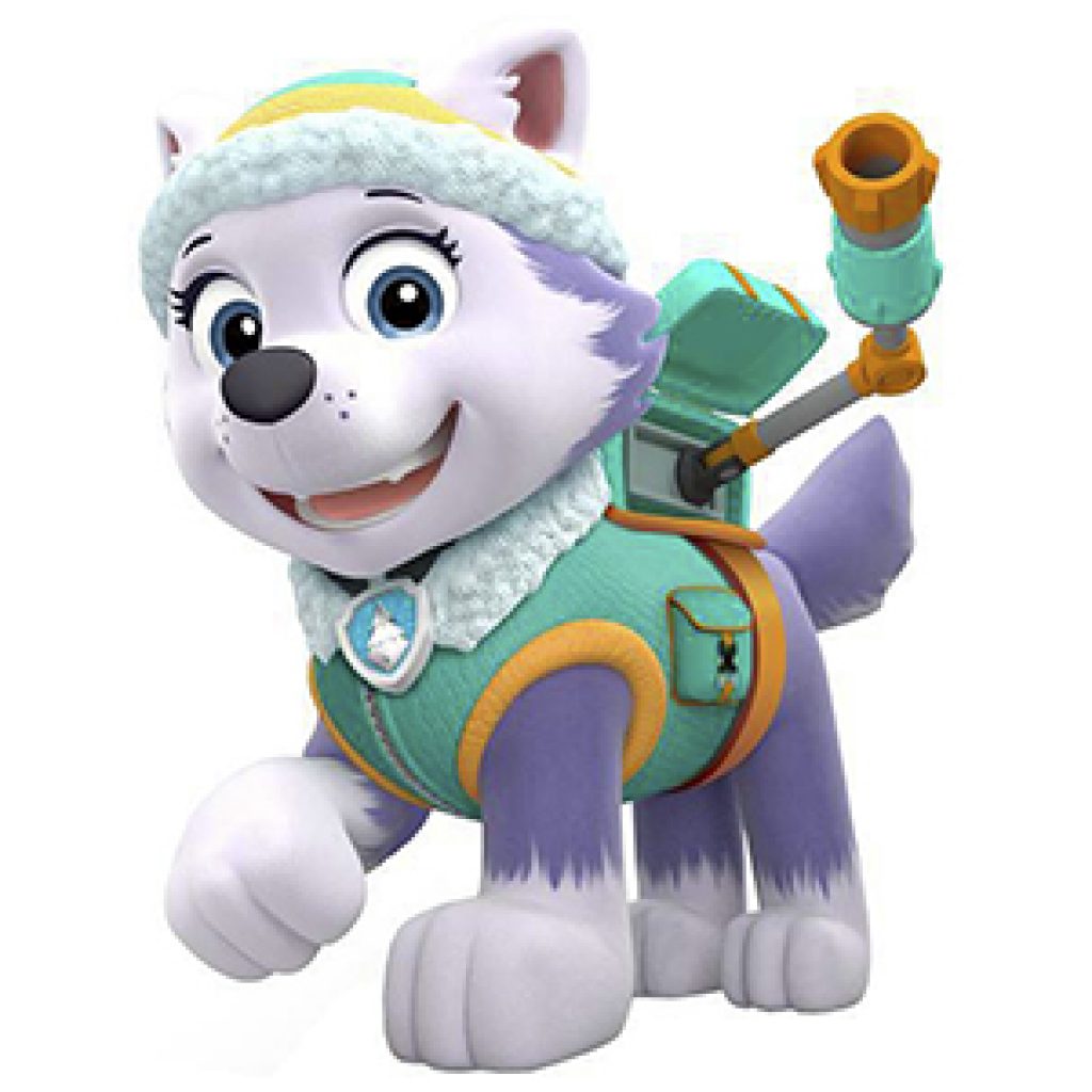 Los personajes de La Patrulla Canina Paw Patrol ¡Descubrelos!