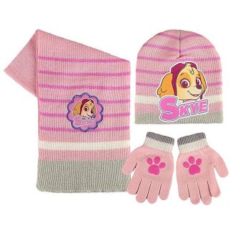 Invierno Patrulla Canina