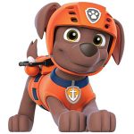 ZUMA Patrulla de Cachorros